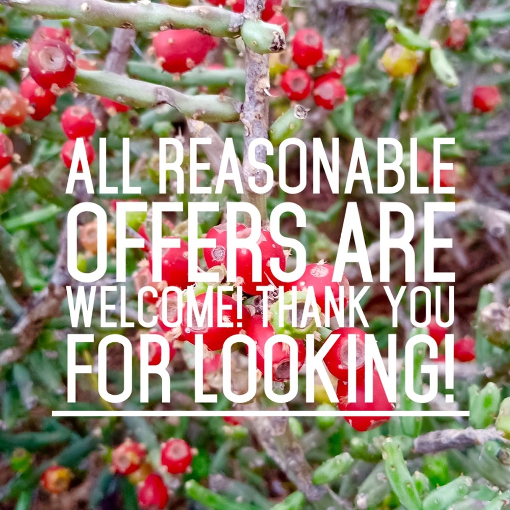 Reasonable offers are welcomed!